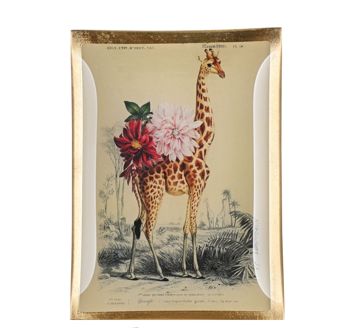 LOVE PLATES M - GIRAFFA